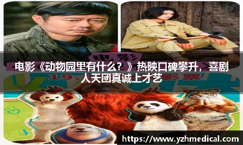 NG娱乐