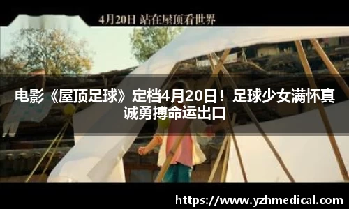 NG娱乐
